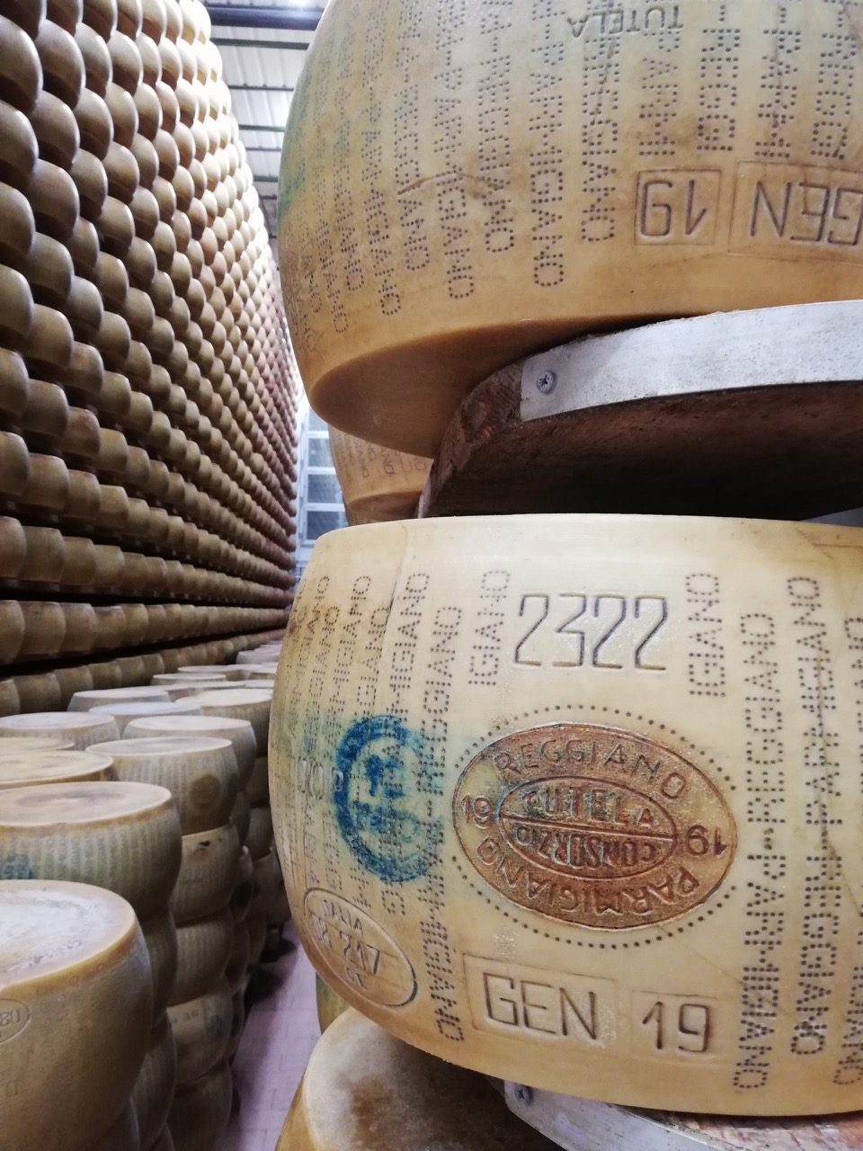 Food and wine tour in Parma